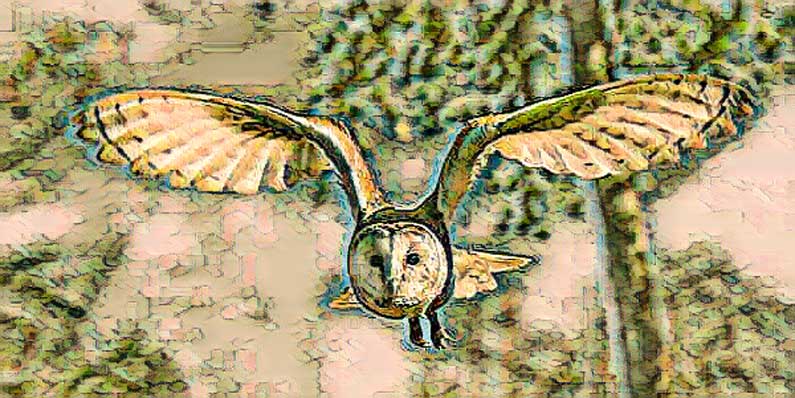 Spirit van Uil en de (nep)sjamaan