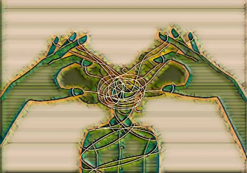 narcistische karaktertrekken