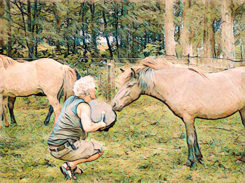 Peter de Haan_de poldersjamaan mijn paardentrom