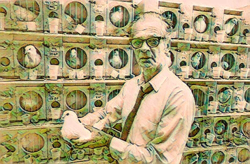 B.F.-Skinner zegt beloon!