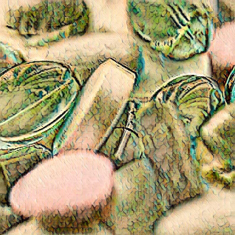 medicijn